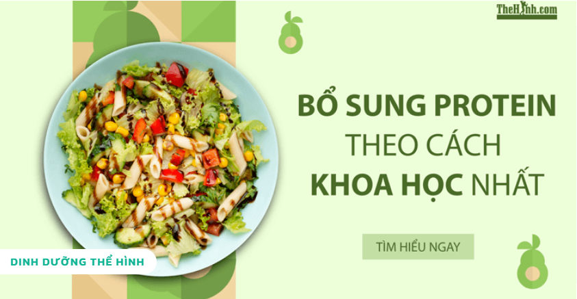 Máy chạy bộ phòng gym Endurance